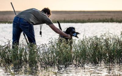 Tax Season Survival Guide for Hunting Outfitters