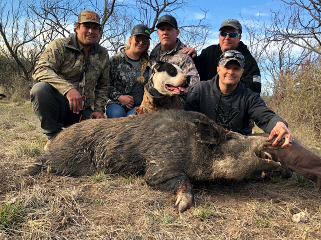 Hog hunt with dogs in Palm Bay, Florida