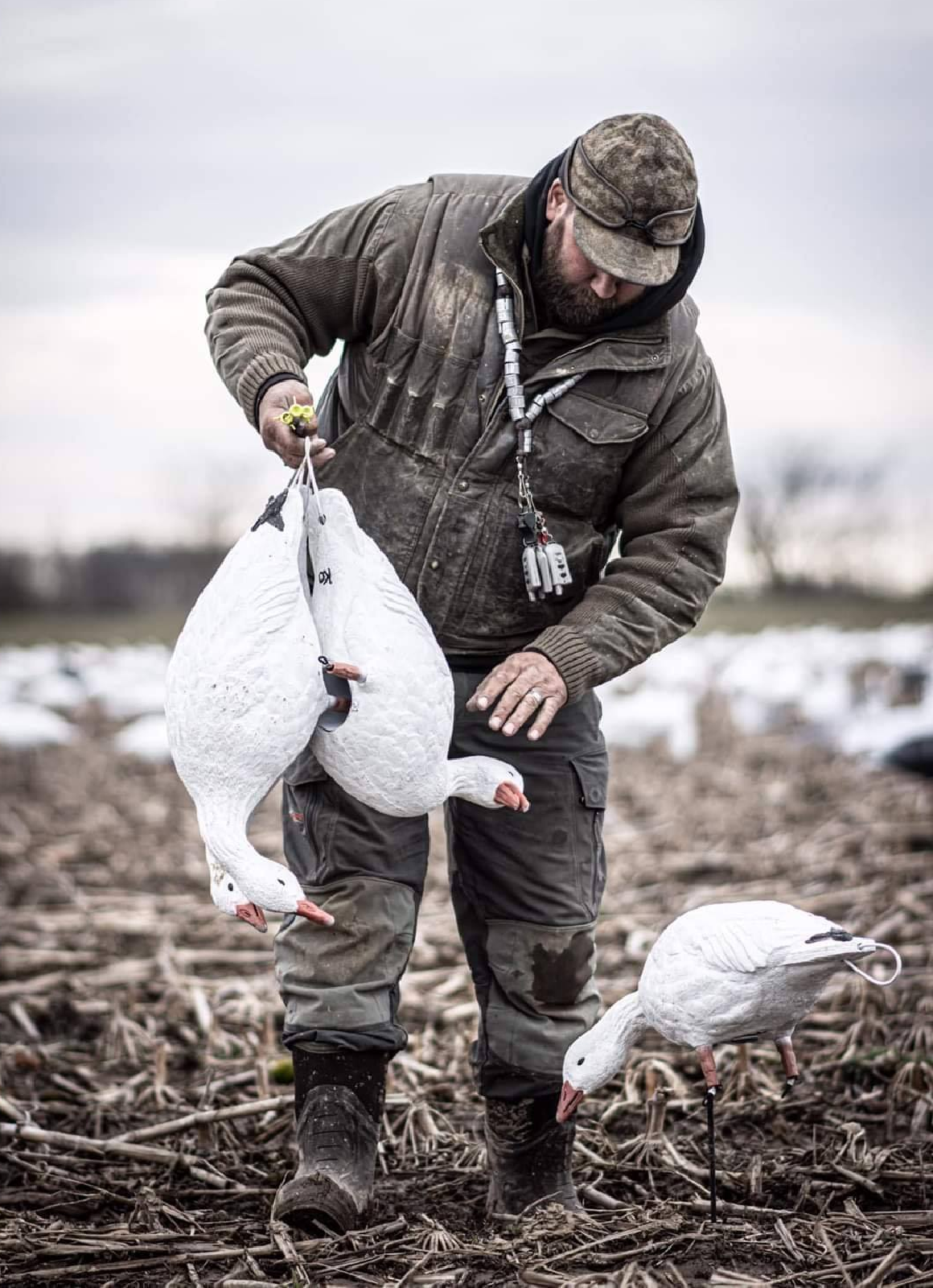 Waterfowl States - South Dakota (1) Hunter pictured at sunrise over decoys during a Maryland duck hunt.