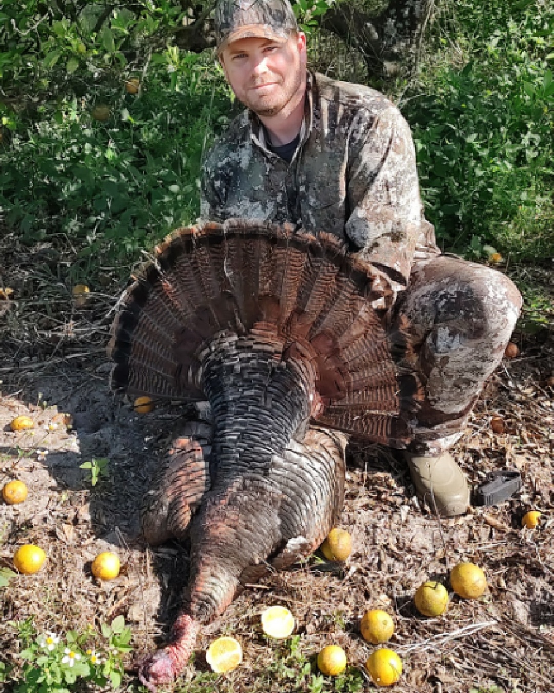 Florida Osceola Turkey Hunt, Hunter shown with turkey surrounded by oranges in Florida.