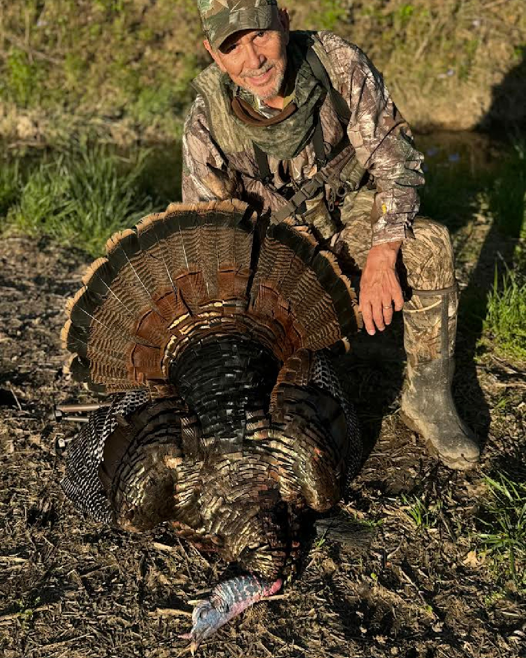 Guided Missouri Turkey Hunt, Eastern