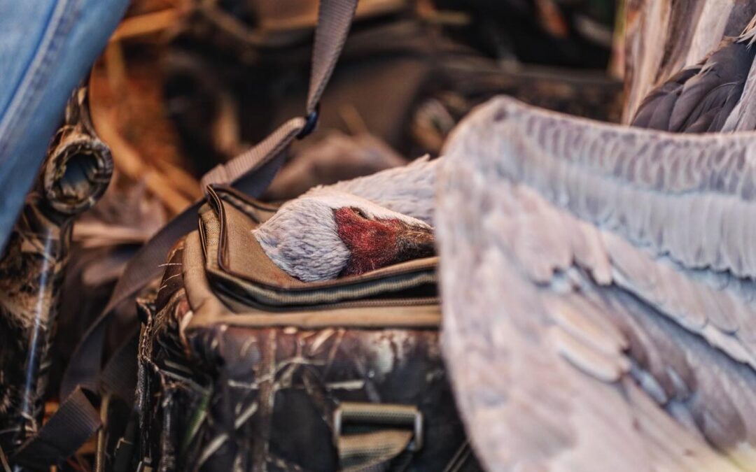 The Modern Outfitter’s Guide to Digital Marketing